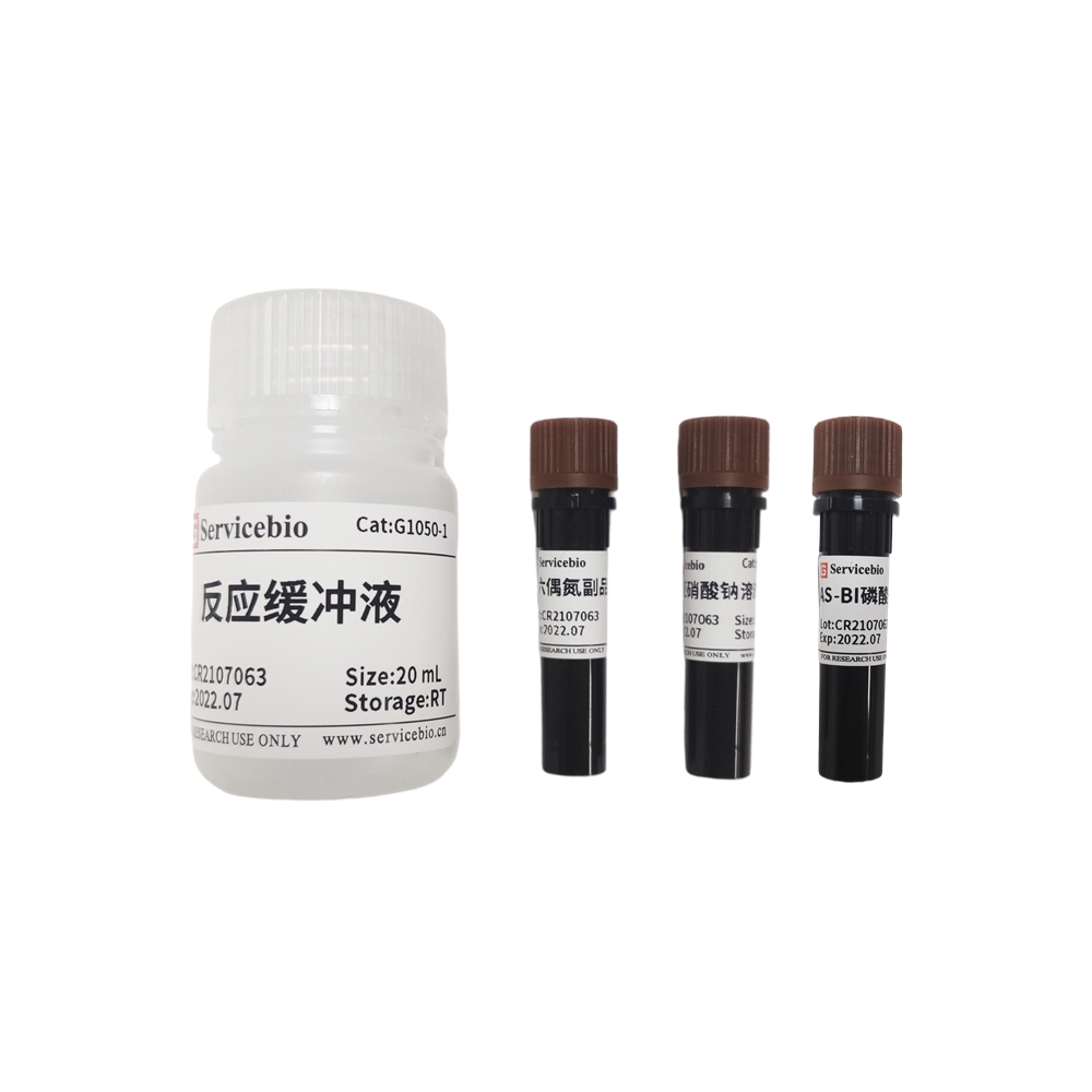 TRAP Staining Solution For Osteoclasts Staining Kit
