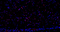 //inrorwxhrkinln5q-static.micyjz.com/cloud/ljBpjKnjlkSRqiqpnkkjiq/1595316269645672418-mnao-rb12-IF-6325-1-700-_32-4x-60-60.jpg
