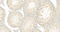 //inrorwxhrkinln5q-static.micyjz.com/cloud/ljBpjKnjlkSRqiqpokmnip/1595484215162777580-6544-RANBP3-dashugaowan-1-700_26-4x-60-60.jpg
