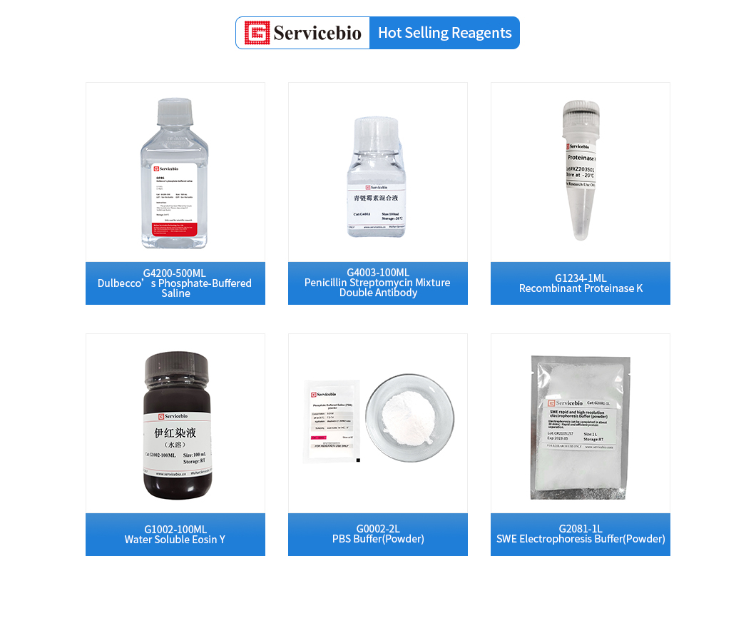 10× MOPS Buffer for RNA formaldehyde deformed electrophoresis RNase