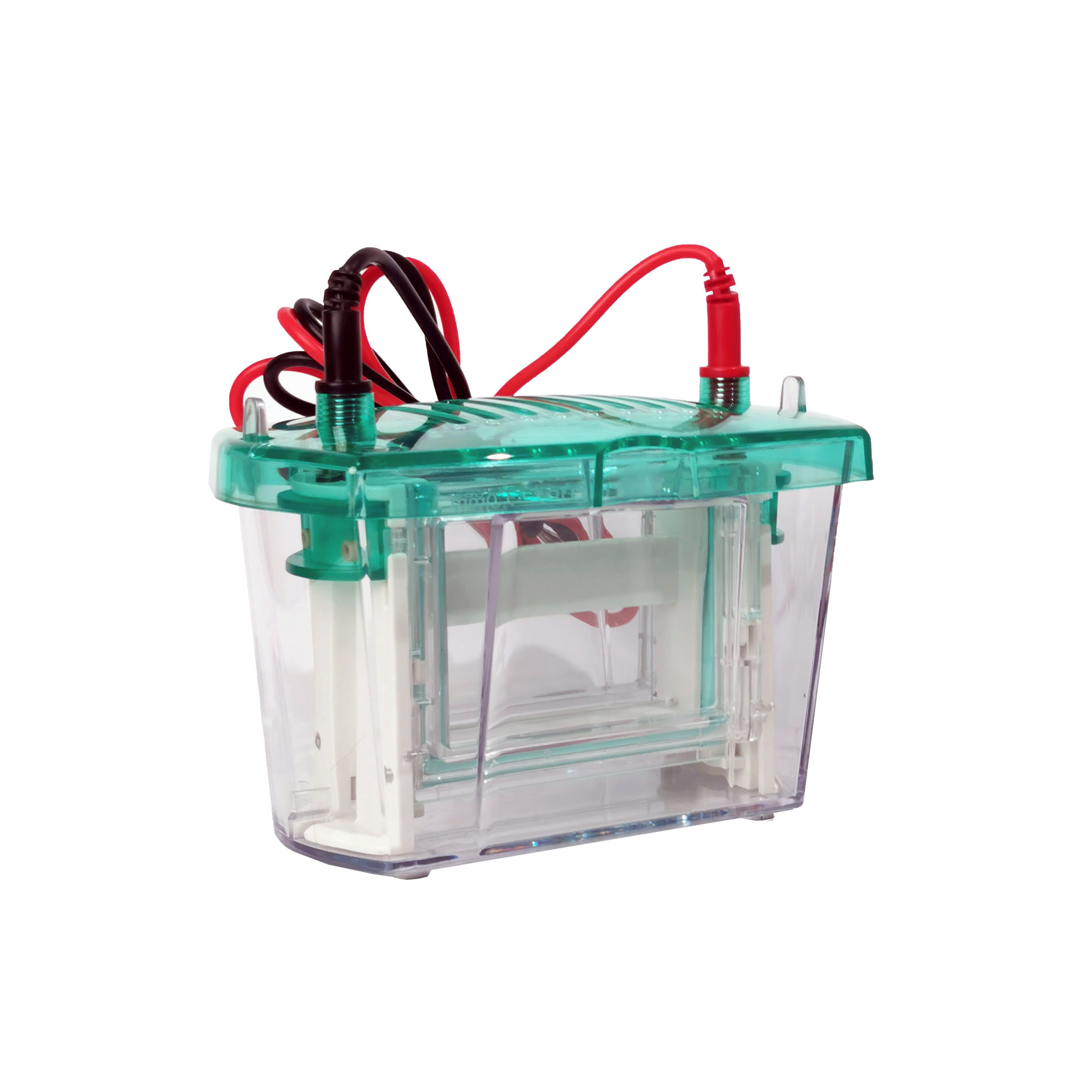 Western Bot Protein Electrophoresis Tenk Lab Apparatus Vertical ...