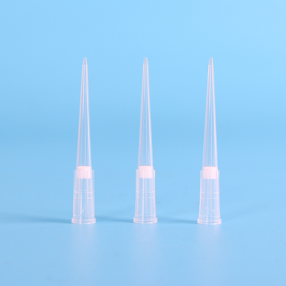 Tp 100 F 100ul Universal Micro Pipette Tips With Filter In Bulk From China Manufacturer Servicebio