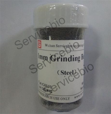 1mm Grinding Beads Steel Homogenizer Beads For Tissue Grinding