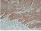 //inrorwxhrkinln5q-static.micyjz.com/cloud/llBpjKnjlkSRqippikqkiq/1bf8e741a962fef3a76a32899fdd431f-60-60.png