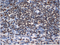 //inrorwxhrkinln5q-static.micyjz.com/cloud/lmBpjKnjlkSRqippnkriio/5a6f4555f62eb0f53601231e32ca16ee-60-60.png