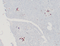 //inrorwxhrkinln5q-static.micyjz.com/cloud/lmBpjKnjlkSRqippokrrio/6f3d40ee73f3ae9c3b4e1c727d770deb-60-60.png