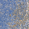 //inrorwxhrkinln5q-static.micyjz.com/cloud/lmBpjKnjlkSRqipporjiio/7f9911ccfb64fc9a34595e66dd86b5d3-60-60.jpg