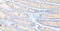 //inrorwxhrkinln5q-static.micyjz.com/cloud/lmBpjKnjlkSRqiqpjnkrio/1600761942125401283-60-60.jpg