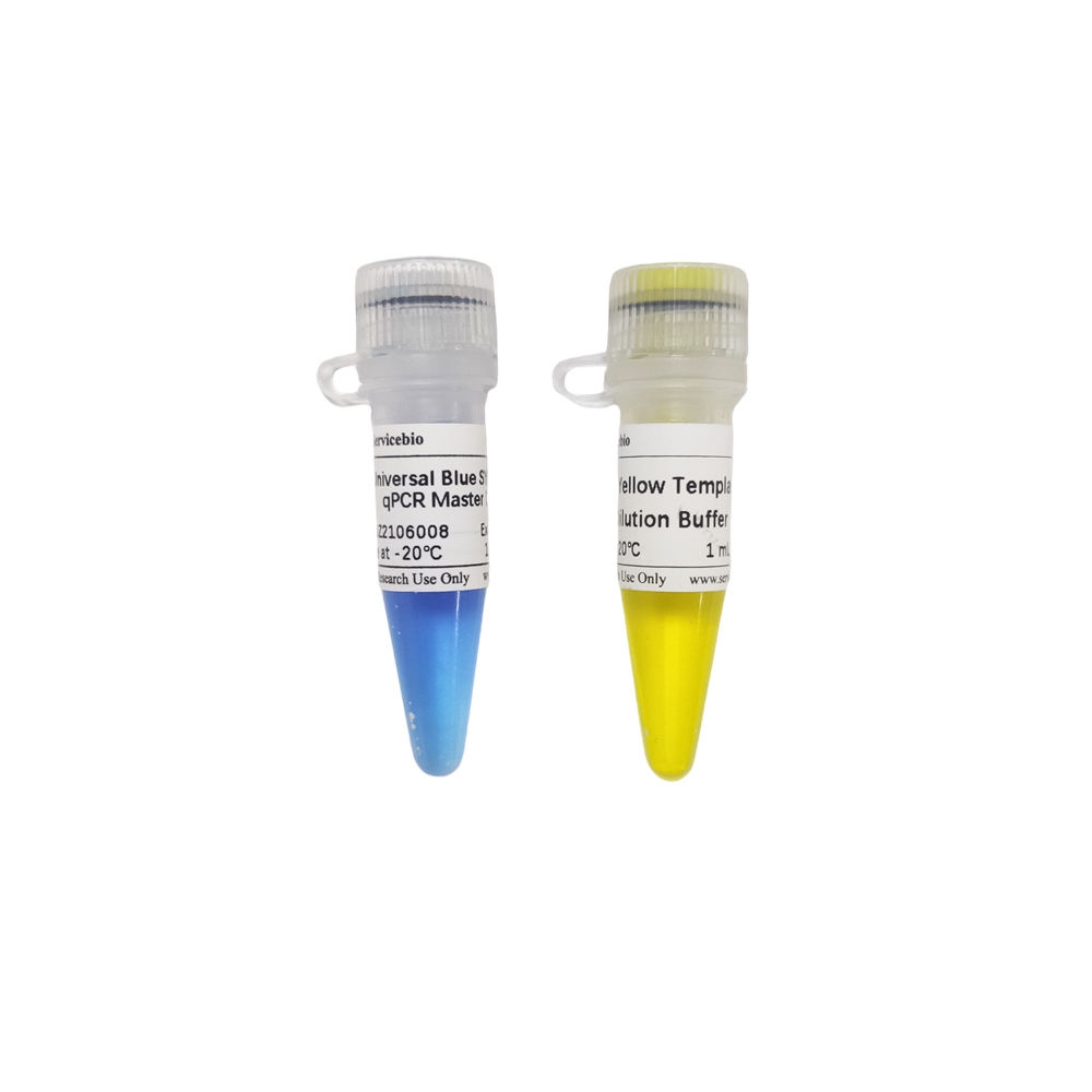 2×Universal Blue SYBR Green qPCR Master Mix With 40×Yellow Template Dilution Buffer