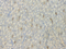 //inrorwxhrkinln5q-static.micyjz.com/cloud/loBpjKnjlkSRqippijrkio/1598949096937630097-60-60.jpg