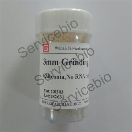 3mm Grinding Beads Zirconia Tissue Homogenizer Beads For WB