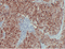 //inrorwxhrkinln5q-static.micyjz.com/cloud/lqBpjKnjlkSRqippnklniq/540ae1e00134b29c66f627e452f51cb8-60-60.png