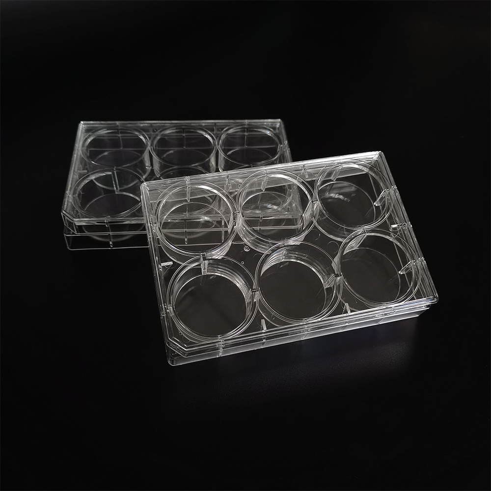 CCP-6H Labware 6 wells Petri Dish TC Treated Cell Culture Plate