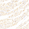 //inrorwxhrkinln5q-static.micyjz.com/cloud/lrBpjKnjlkSRqippljkiiq/775d329efac548d9b7318c4764848550-60-60.jpg